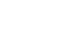 Didi Limo White logo